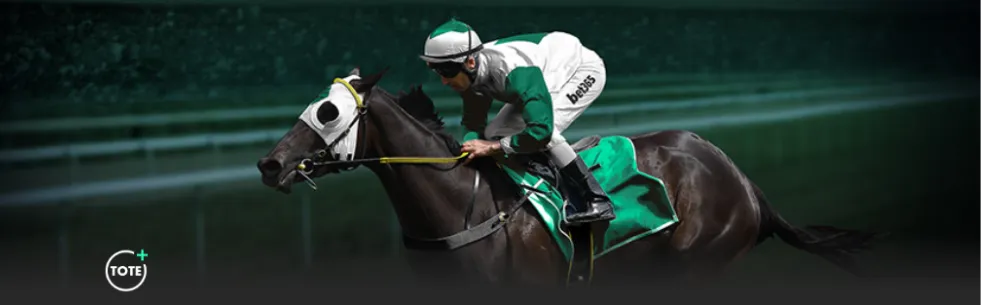 岁阿森纳新,星多队争抢,宛如少年版,开云体育官网,开云体育App,开云赛事直播,开云体育平台,开云娱乐体验