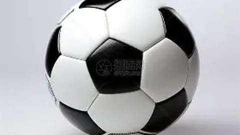 王欣瑜郑赛赛在迈阿密WTA1000双打赛不敌海峡组合，八强征程止步。